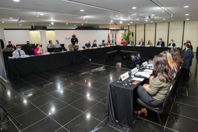 Foto dos participantes da reunião reunidos em volta de uma mesa em formato de L 