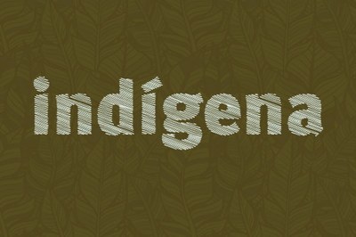 Imagem de fundo marrom escrito "Indígena" ao centro