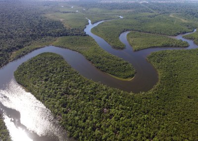 Foto aérea de um rio cortando uma floresta.