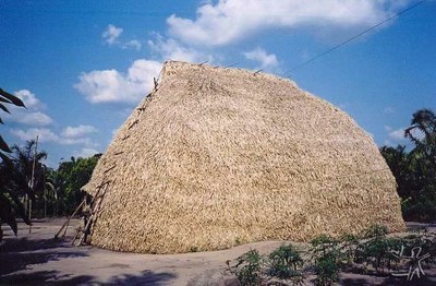 Foto de uma moradia indígena coberta por palha