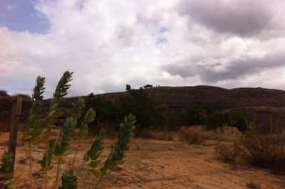 Foto mostra trecho de terra no estado de Roraima 