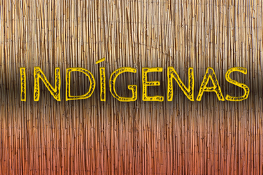 Imagem cujo fundo reproduz uma textura de madeira, com a palavra "indígena" em amarelo.