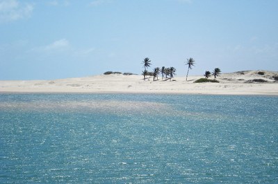 Foto da praia de Águas Belas com águas claras, areias brancas e alguns coqueiros. 