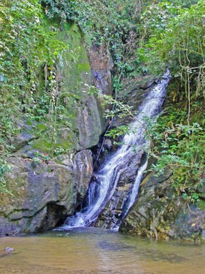 Cachoeira no Parque Nacional da Tijuca (Foto: VitorianoJr. - Wikimedia)