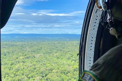 Foto a partir de um helicóptero mostra a floresta embaixo 