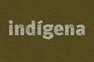 Retângulo com fundo da cor marrom e folhas desenhadas e a palavra indígena destacada na cor branca