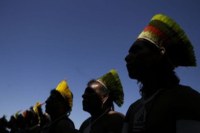 Órgão quer inclusão do Ibama no debate sobre uso de transgênicos e consulta prévia aos indígenas
