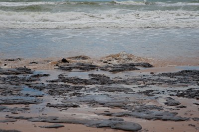 Praia suja de óleo