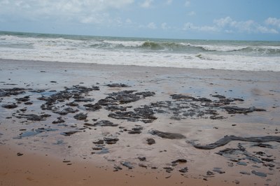 manchas de óleo espalhadas na beira mar