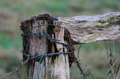 #Paratodosverem: imagem mostra detalhe de uma cerca de madeira em ambiente rural, com arames farpados e correntes amarrados em volta. A foto é da Pixabay.