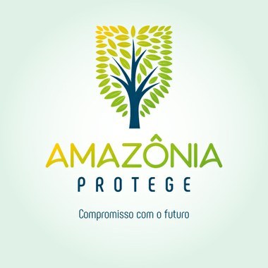 Saiba mais sobre o projeto que tem o objetivo de combater o desmatamento ilegal da Amazônia