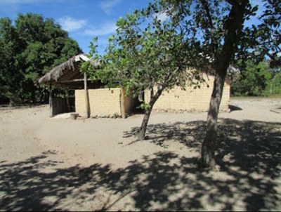 #pracegover: foto de uma casa típica das comunidades quilombolas do jalapão. a casa é feita de barro com madeira e coberta com folhas de coqueiros. 